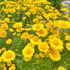 24-06-24 16-00-53 9860